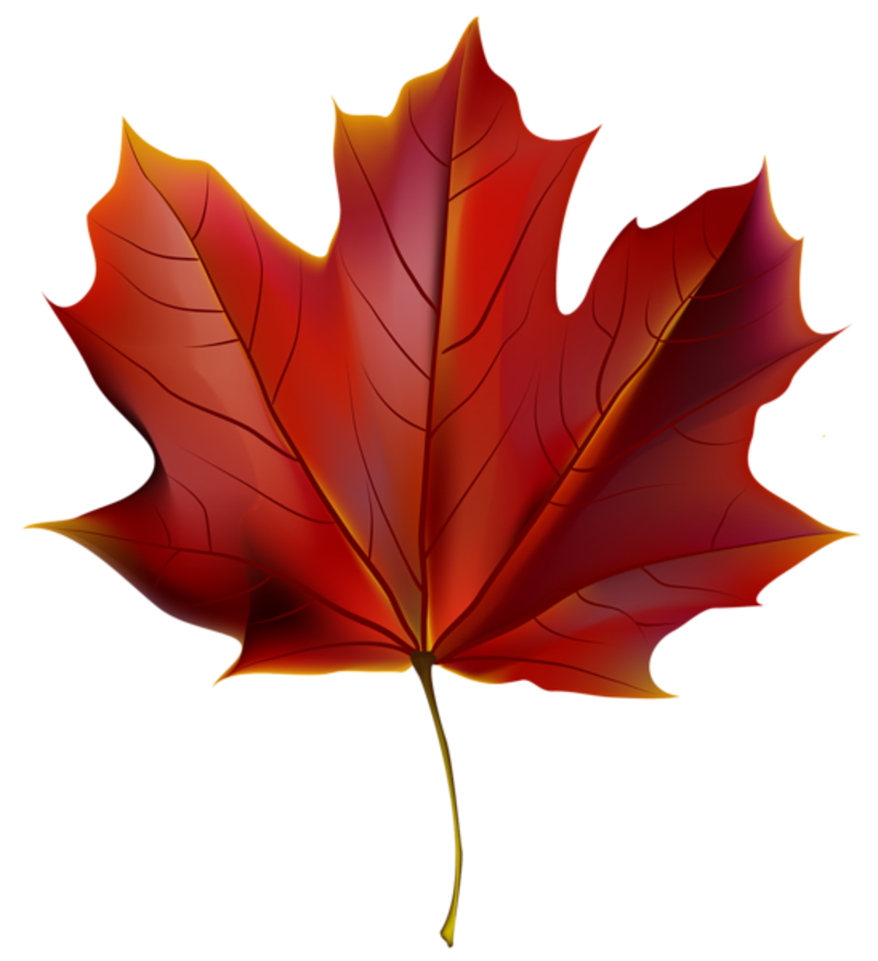 fall leaf clip art png - photo #45
