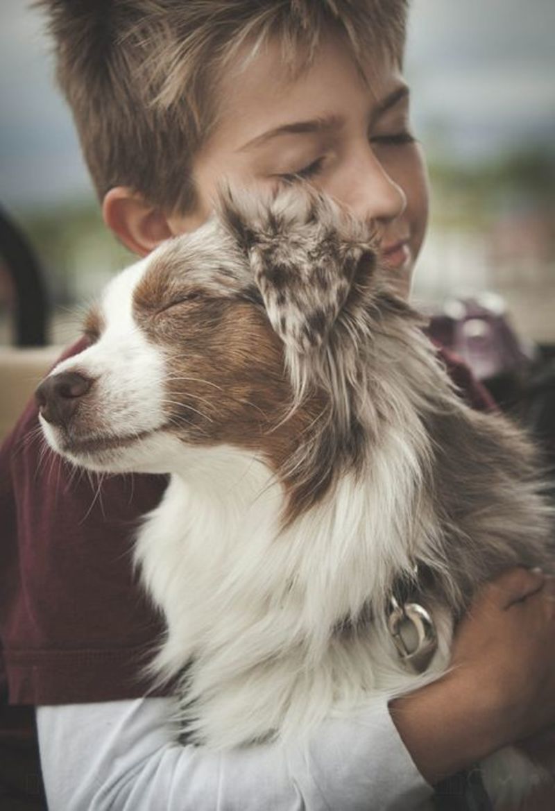 Why Do Border Collies Hug