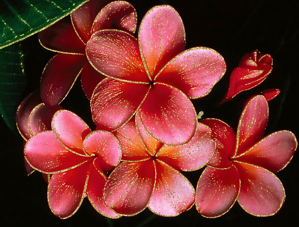 e3231948_1