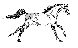 f3d02880_1.gif